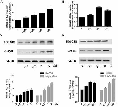 HMGB1 Mediates Autophagy Dysfunction via Perturbing Beclin1-Vps34 Complex in <mark class="highlighted">Dopaminergic Cell</mark> Model